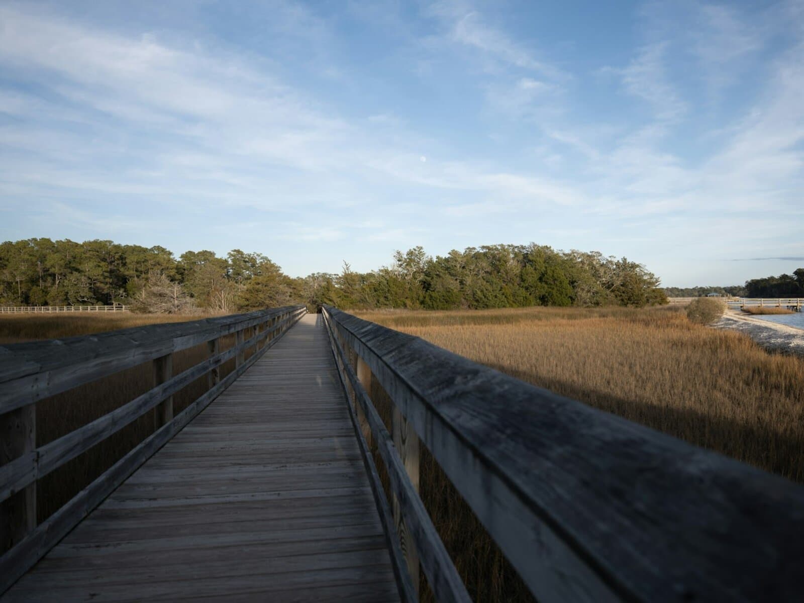 A long wooden boardwalk extends through a coastal marsh of golden grass under a wide cloud-streaked sky, dark trees on one side and open water on the other — representative of the trail system at the Leonabelle Turnbull Birding Center.